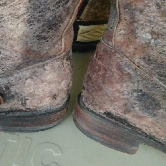 FRYE VERONICA BOOTS DISTRESSED - Picture 6 of 11